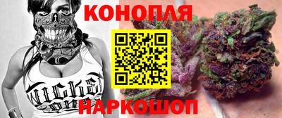 гашик Тула