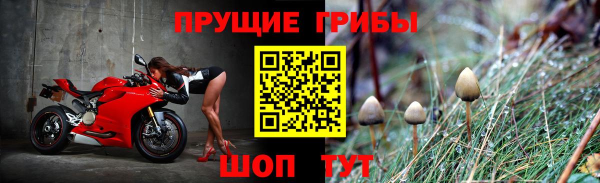 Галлюциногенные грибы прущие грибы Новосибирск