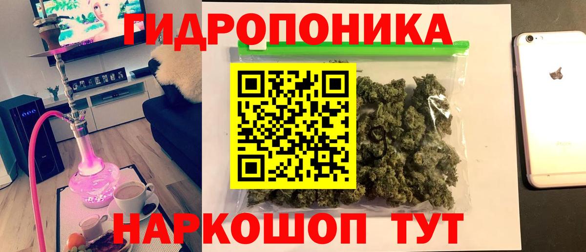 Конопля конопля  Вход с VPN  МАРИХУАНА AK-47  Новосибирск  МАРИХУАНА марихуана 